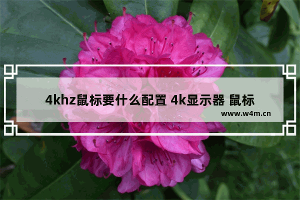 4khz鼠标要什么配置 4k显示器 鼠标