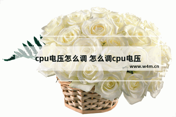 cpu电压怎么调 怎么调cpu电压