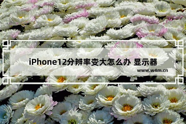 iPhone12分辨率变大怎么办 显示器分辨率小