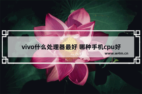 vivo什么处理器最好 哪种手机cpu好