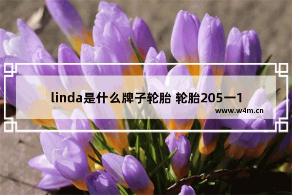 linda是什么牌子轮胎 轮胎205一15一70载重量是450公里是什么车用的轮胎