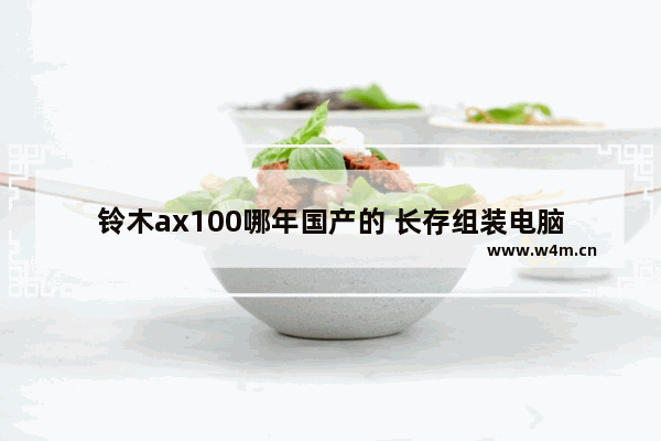 铃木ax100哪年国产的 长存组装电脑