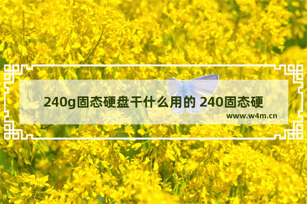 240g固态硬盘干什么用的 240固态硬盘价格