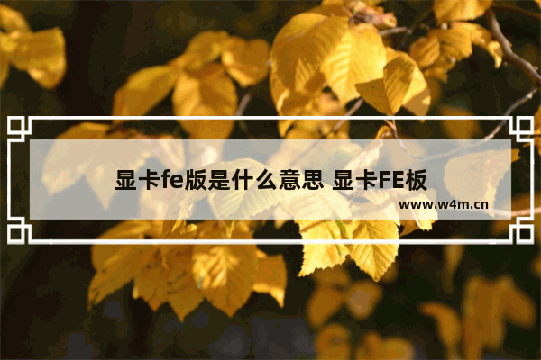 显卡fe版是什么意思 显卡FE板