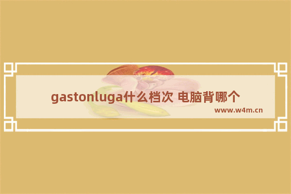 gastonluga什么档次 电脑背哪个品牌