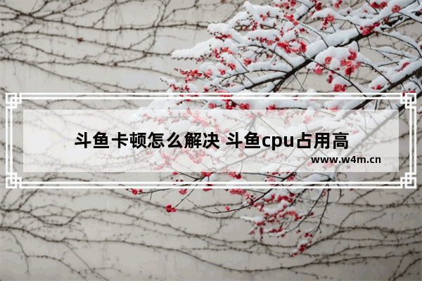 斗鱼卡顿怎么解决 斗鱼cpu占用高