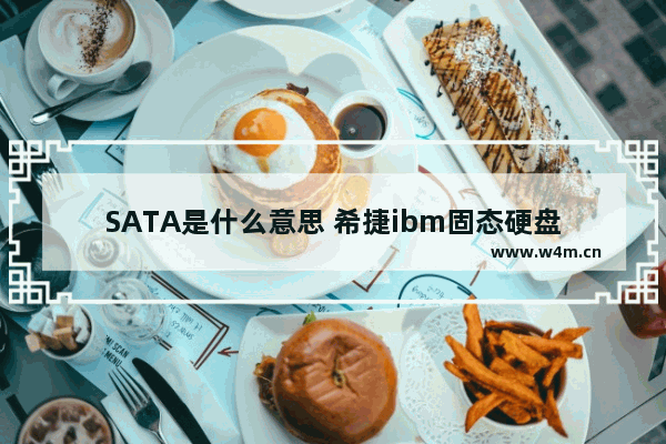 SATA是什么意思 希捷ibm固态硬盘