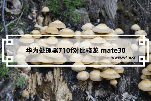 华为处理器710f对比骁龙 mate30和骁龙870哪个更值得