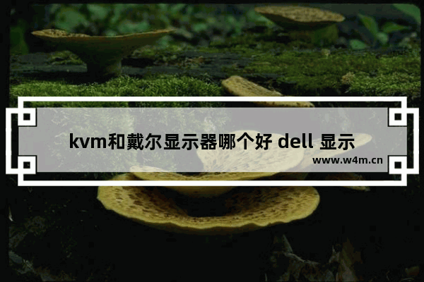 kvm和戴尔显示器哪个好 dell 显示器对比