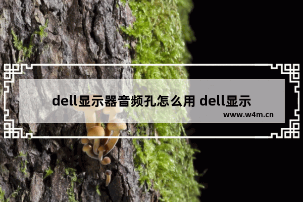 dell显示器音频孔怎么用 dell显示器 声音