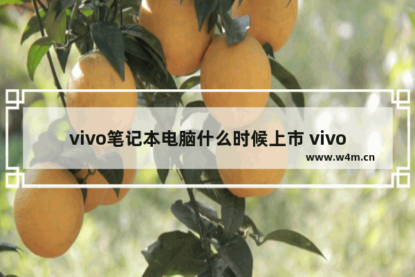 vivo笔记本电脑什么时候上市 vivo笔记本电脑报价