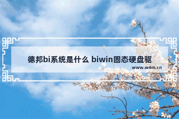 德邦bi系统是什么 biwin固态硬盘驱动