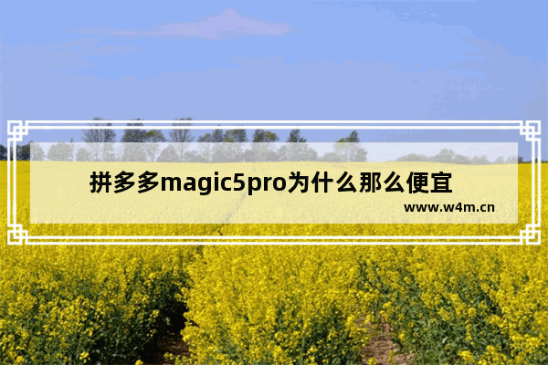 拼多多magic5pro为什么那么便宜 极致便宜电脑品牌