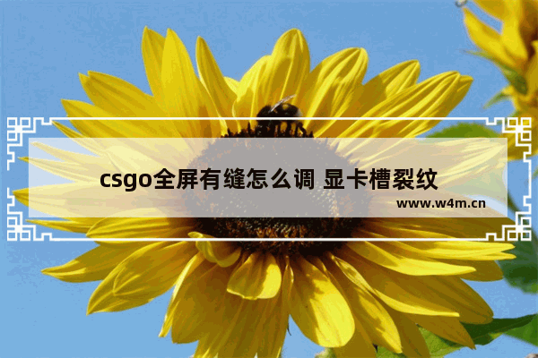 csgo全屏有缝怎么调 显卡槽裂纹