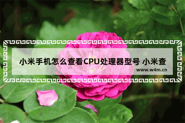 小米手机怎么查看CPU处理器型号 小米查看cpu型号的