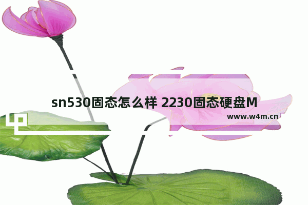 sn530固态怎么样 2230固态硬盘MLC