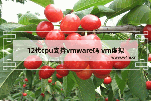 12代cpu支持vmware吗 vm虚拟机 cpu