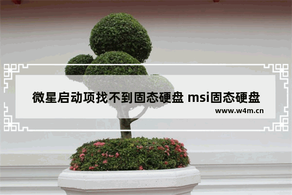 微星启动项找不到固态硬盘 msi固态硬盘质量