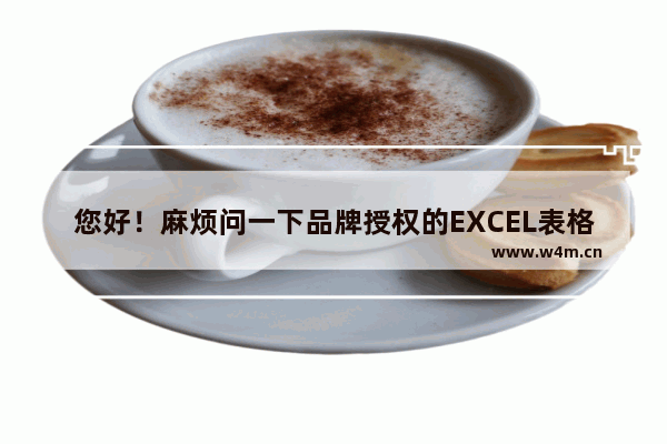 您好！麻烦问一下品牌授权的EXCEL表格怎么填写 电脑品牌管理表格