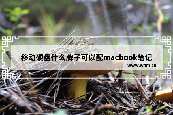 移动硬盘什么牌子可以配macbook笔记本 苹果笔记本电脑包牌子