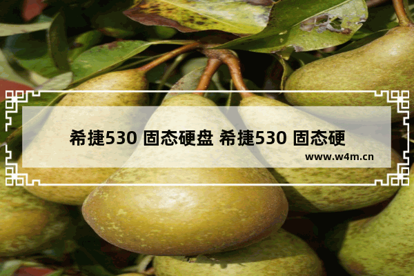 希捷530 固态硬盘 希捷530 固态硬盘