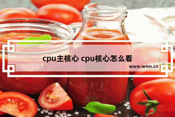 cpu主核心 cpu核心怎么看