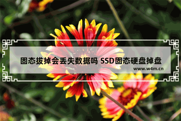 固态拔掉会丢失数据吗 SSD固态硬盘掉盘是什么意思