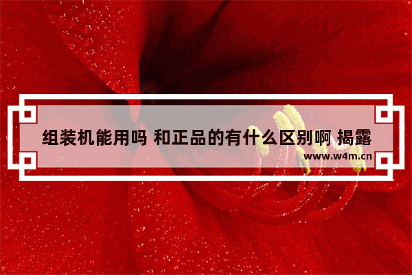 组装机能用吗 和正品的有什么区别啊 揭露组装电脑