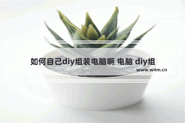 如何自己diy组装电脑啊 电脑 diy组装