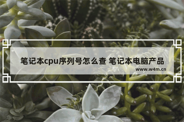 笔记本cpu序列号怎么查 笔记本电脑产品序列号