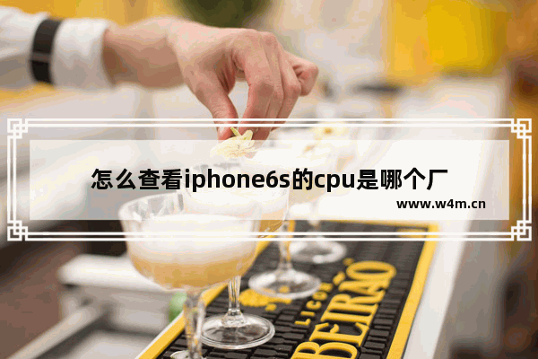 怎么查看iphone6s的cpu是哪个厂的 iphone6s cpu查看