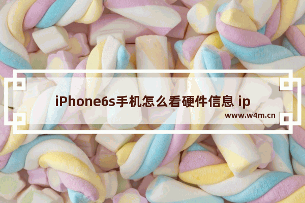 iPhone6s手机怎么看硬件信息 iphone6s查cpu