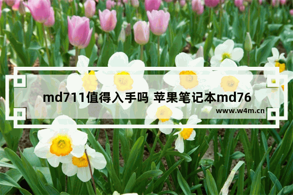 md711值得入手吗 苹果笔记本md760和md711哪个更好