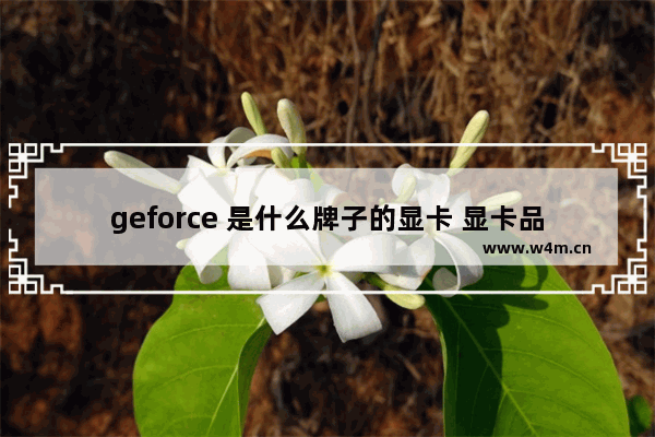 geforce 是什么牌子的显卡 显卡品牌缩写