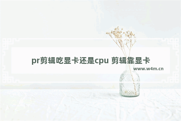 pr剪辑吃显卡还是cpu 剪辑靠显卡