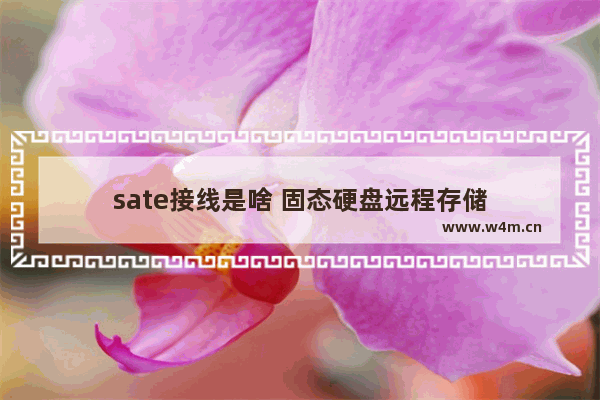 sate接线是啥 固态硬盘远程存储