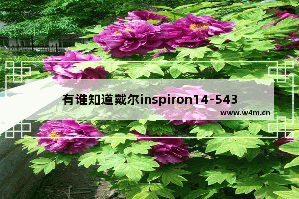 有谁知道戴尔inspiron14-5439这个牌子 戴尔固态硬盘5439