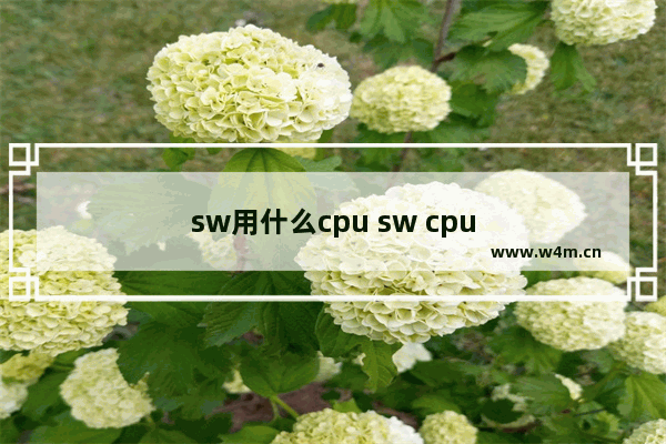 sw用什么cpu sw cpu