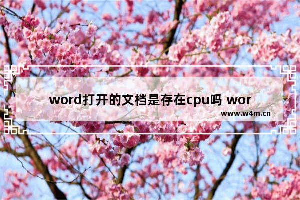 word打开的文档是存在cpu吗 word cpu