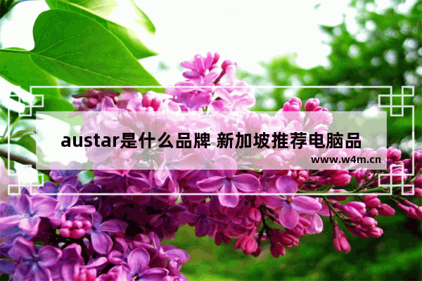 austar是什么品牌 新加坡推荐电脑品牌