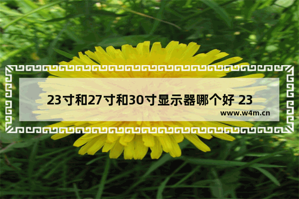 23寸和27寸和30寸显示器哪个好 23寸显示器哪个好