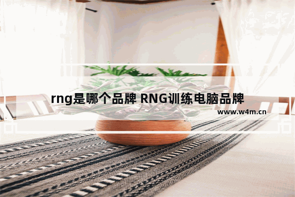 rng是哪个品牌 RNG训练电脑品牌