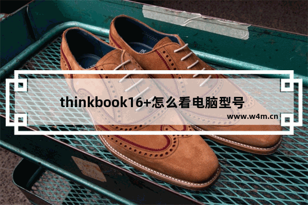 thinkbook16+怎么看电脑型号 联想笔记本没有标怎么看几代