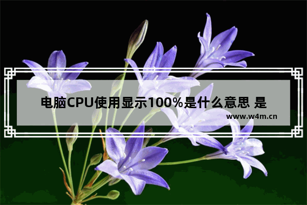 电脑CPU使用显示100%是什么意思 是不是中了病毒或者木马 ie cpu 100