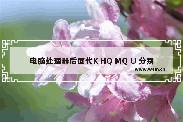 电脑处理器后面代K HQ MQ U 分别是什么意思 英特尔CPU末尾的字母代表什么意思 HQ HK K啊之类的