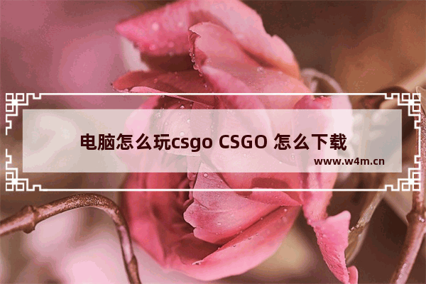 电脑怎么玩csgo CSGO 怎么下载