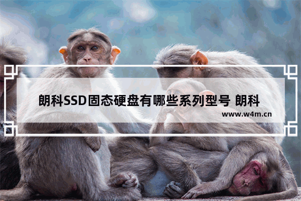 朗科SSD固态硬盘有哪些系列型号 朗科 联想 固态硬盘