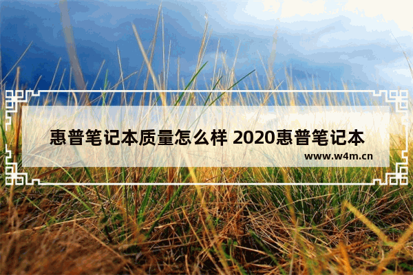 惠普笔记本质量怎么样 2020惠普笔记本电脑哪款性价比高