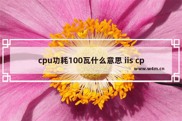 cpu功耗100瓦什么意思 iis cpu 100