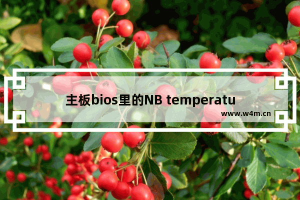 主板bios里的NB temperature是什么温度 电脑主板用什么软件测温度